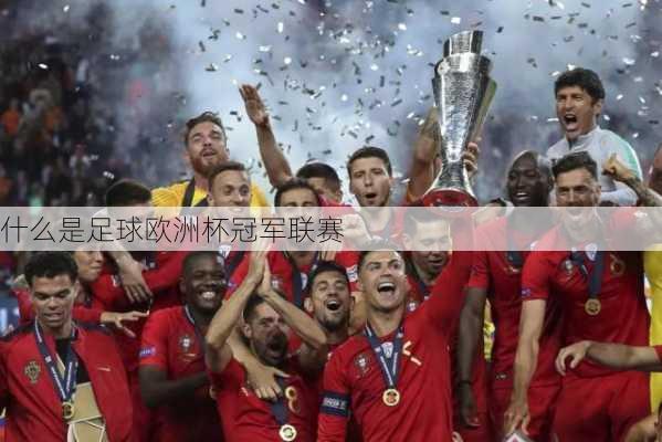 什么是足球欧洲杯冠军联赛-第3张图片-楠锦体育网