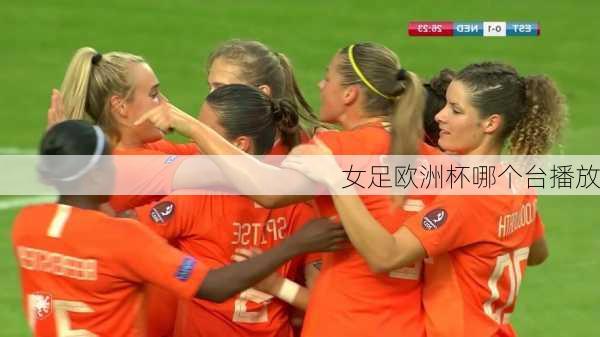 女足欧洲杯哪个台播放-第3张图片-楠锦体育网