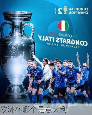 欧洲杯哪个是意大利-第1张图片-楠锦体育网
