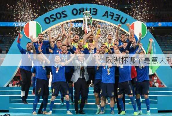 欧洲杯哪个是意大利-第2张图片-楠锦体育网