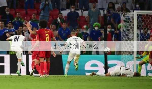 北京欧洲杯怎么-第1张图片-楠锦体育网