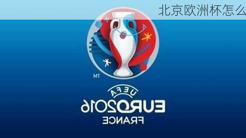 北京欧洲杯怎么-第2张图片-楠锦体育网