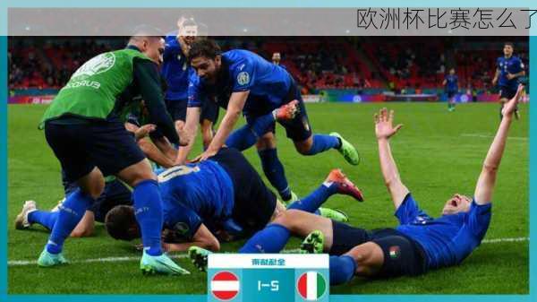 欧洲杯比赛怎么了-第2张图片-楠锦体育网