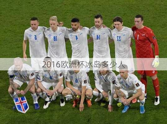 2016欧洲杯冰岛多少人-第3张图片-楠锦体育网