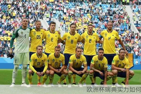 欧洲杯瑞典实力如何-第1张图片-楠锦体育网