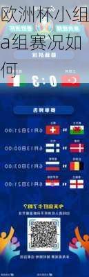 欧洲杯小组a组赛况如何-第2张图片-楠锦体育网