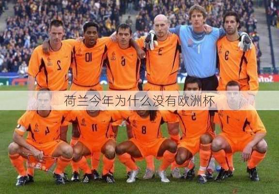 荷兰今年为什么没有欧洲杯