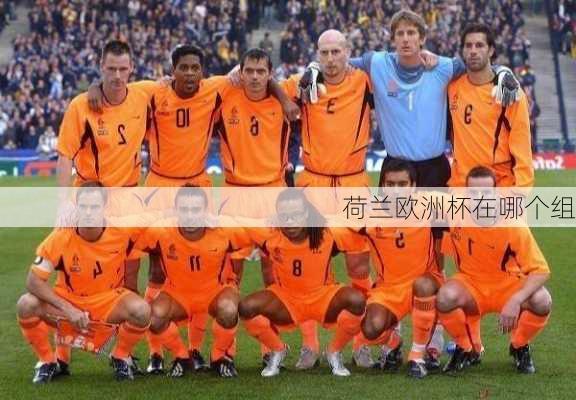 荷兰欧洲杯在哪个组