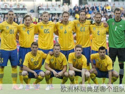 欧洲杯瑞典是哪个组队-第2张图片-楠锦体育网