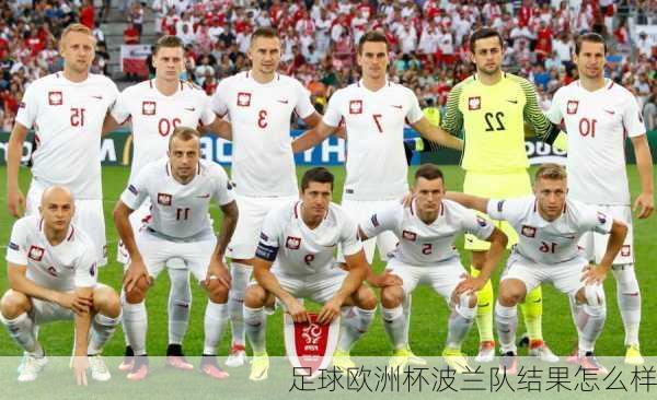 足球欧洲杯波兰队结果怎么样-第2张图片-楠锦体育网