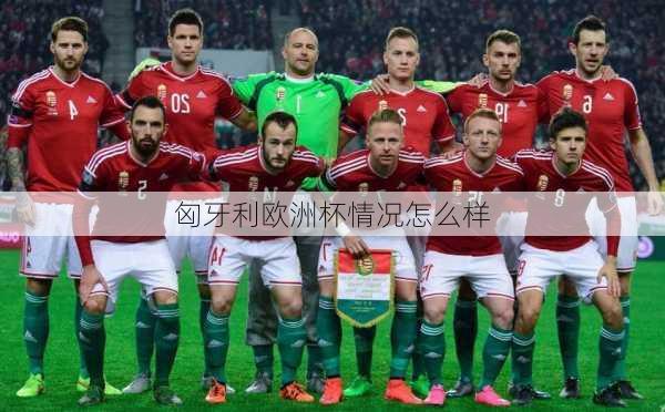 匈牙利欧洲杯情况怎么样-第3张图片-楠锦体育网