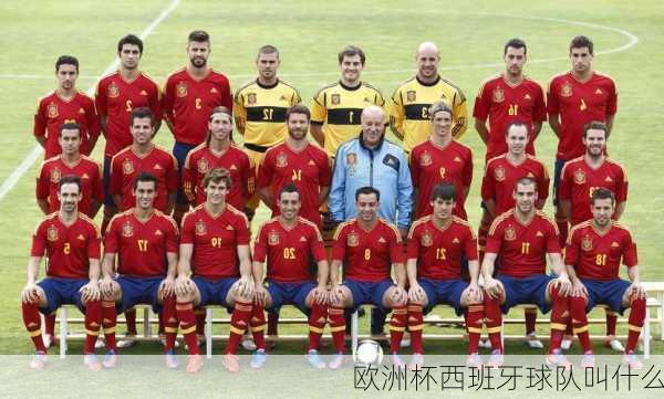 欧洲杯西班牙球队叫什么-第3张图片-楠锦体育网