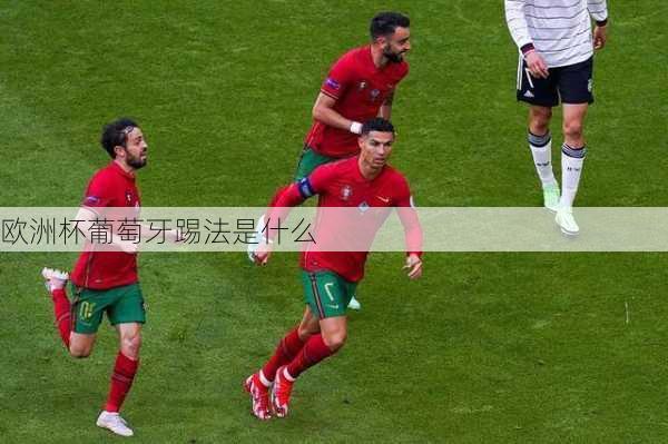 欧洲杯葡萄牙踢法是什么-第1张图片-楠锦体育网