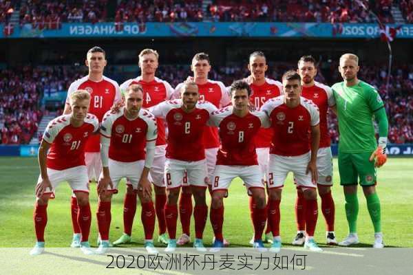 2020欧洲杯丹麦实力如何-第3张图片-楠锦体育网