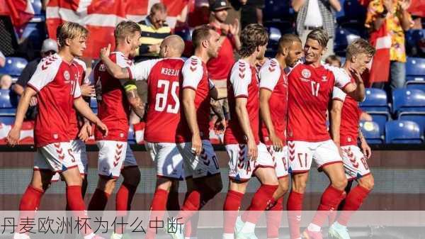 丹麦欧洲杯为什么中断-第3张图片-楠锦体育网