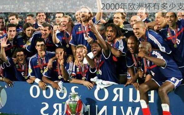 2000年欧洲杯有多少支-第2张图片-楠锦体育网