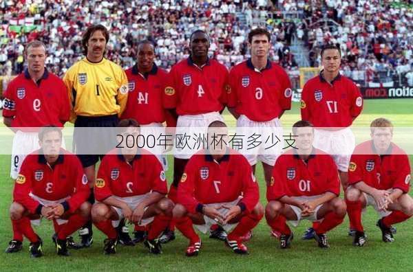 2000年欧洲杯有多少支-第1张图片-楠锦体育网