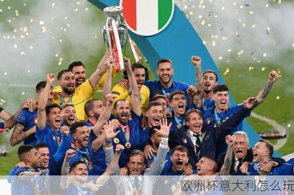 欧洲杯意大利怎么玩-第3张图片-楠锦体育网