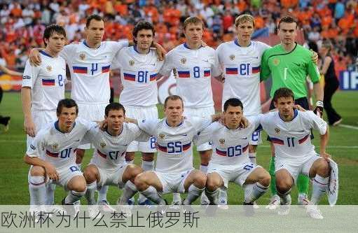 欧洲杯为什么禁止俄罗斯-第1张图片-楠锦体育网