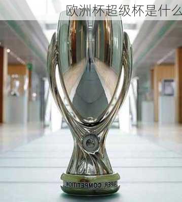 欧洲杯超级杯是什么-第1张图片-楠锦体育网