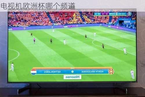电视机欧洲杯哪个频道-第2张图片-楠锦体育网
