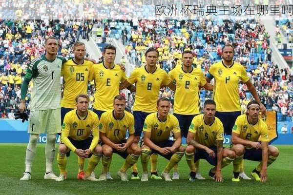 欧洲杯瑞典主场在哪里啊-第3张图片-楠锦体育网
