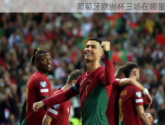 葡萄牙欧洲杯三场在哪里-第2张图片-楠锦体育网