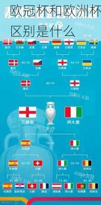 欧冠杯和欧洲杯区别是什么-第3张图片-楠锦体育网