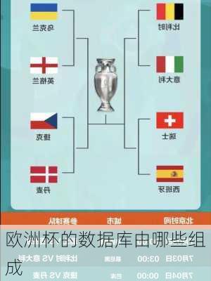 欧洲杯的数据库由哪些组成-第3张图片-楠锦体育网