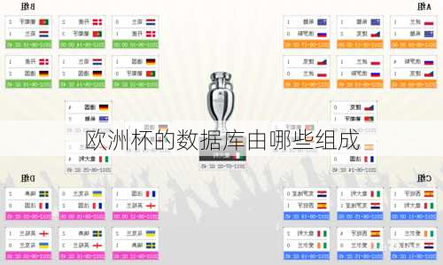 欧洲杯的数据库由哪些组成-第2张图片-楠锦体育网