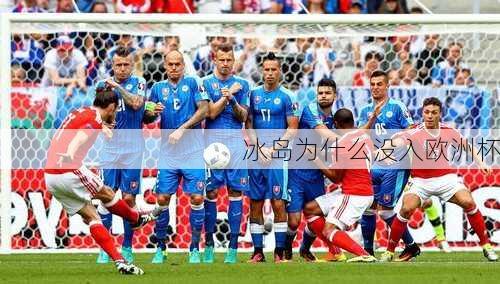 冰岛为什么没入欧洲杯-第2张图片-楠锦体育网