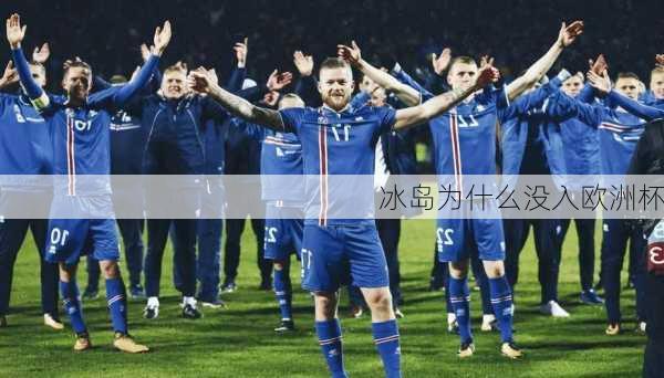 冰岛为什么没入欧洲杯-第1张图片-楠锦体育网