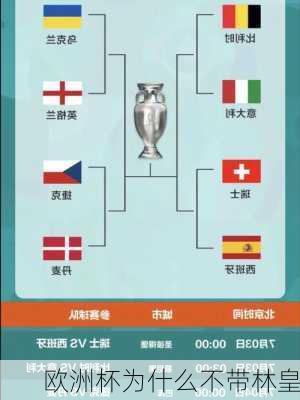 欧洲杯为什么不带林皇-第2张图片-楠锦体育网