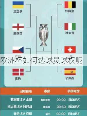 欧洲杯如何选球员球权呢-第2张图片-楠锦体育网