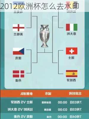 2012欧洲杯怎么去水印-第3张图片-楠锦体育网