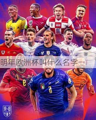 明年欧洲杯叫什么名字-第3张图片-楠锦体育网