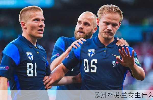 欧洲杯芬兰发生什么-第2张图片-楠锦体育网