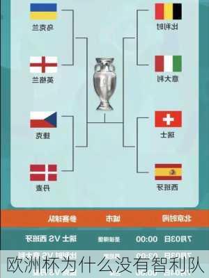 欧洲杯为什么没有智利队-第3张图片-楠锦体育网