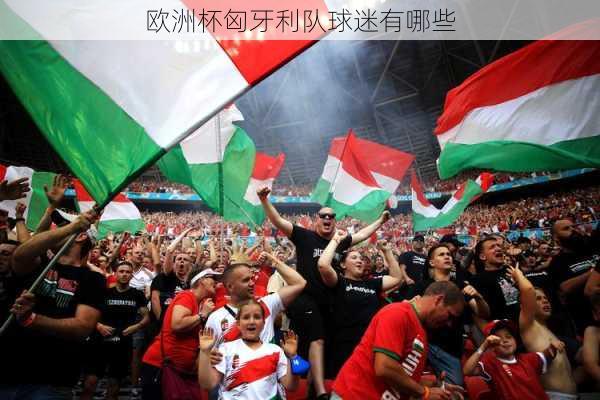 欧洲杯匈牙利队球迷有哪些-第1张图片-楠锦体育网