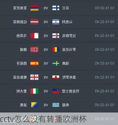 cctv怎么没有转播欧洲杯-第2张图片-楠锦体育网