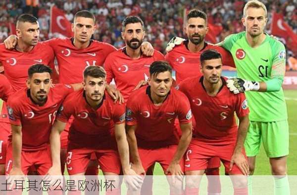 土耳其怎么是欧洲杯-第2张图片-楠锦体育网
