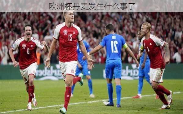 欧洲杯丹麦发生什么事了-第2张图片-楠锦体育网