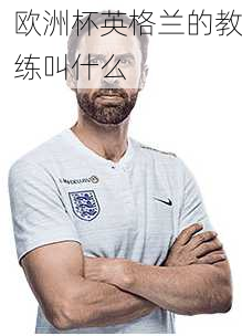 欧洲杯英格兰的教练叫什么-第3张图片-楠锦体育网