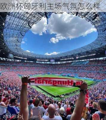 欧洲杯匈牙利主场气氛怎么样-第2张图片-楠锦体育网