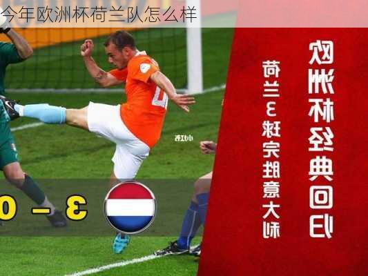 今年欧洲杯荷兰队怎么样-第1张图片-楠锦体育网