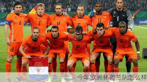 今年欧洲杯荷兰队怎么样-第2张图片-楠锦体育网