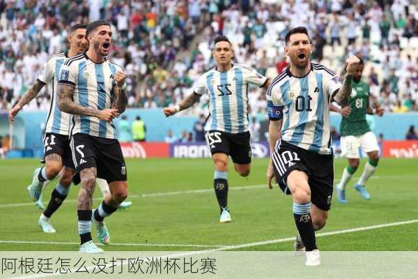 阿根廷怎么没打欧洲杯比赛-第3张图片-楠锦体育网
