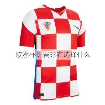 欧洲杯比赛球衣选择什么-第3张图片-楠锦体育网