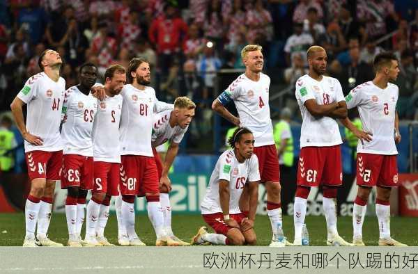 欧洲杯丹麦和哪个队踢的好-第1张图片-楠锦体育网