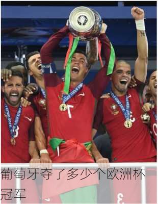 葡萄牙夺了多少个欧洲杯冠军-第3张图片-楠锦体育网